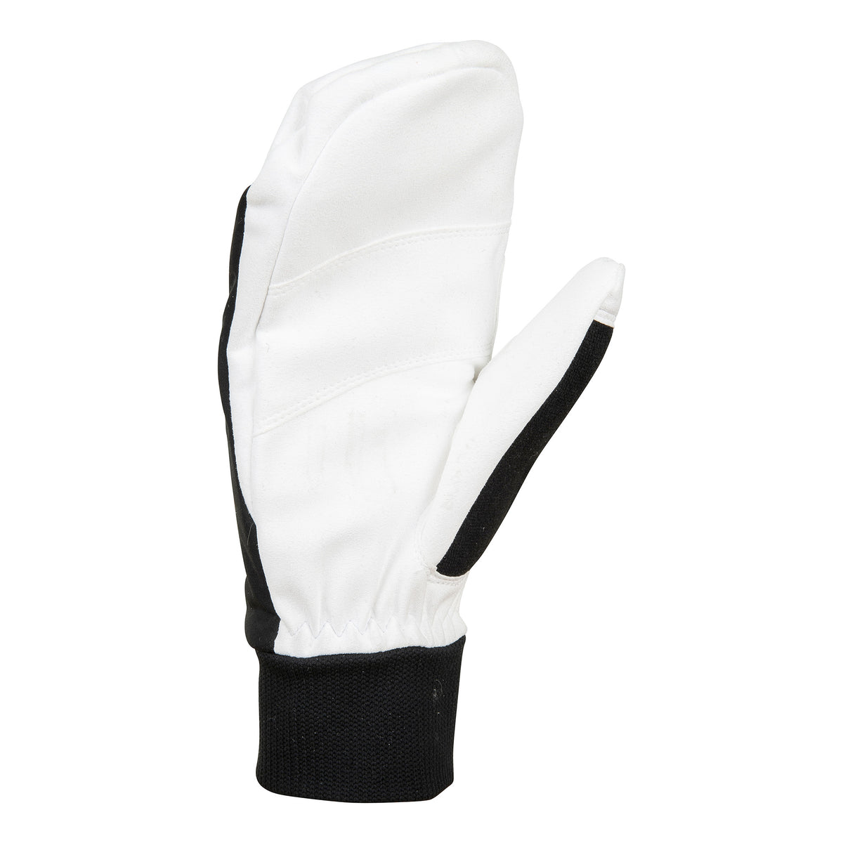 BJORN DAEHLIE MITTEN RACE WARM - HOMME