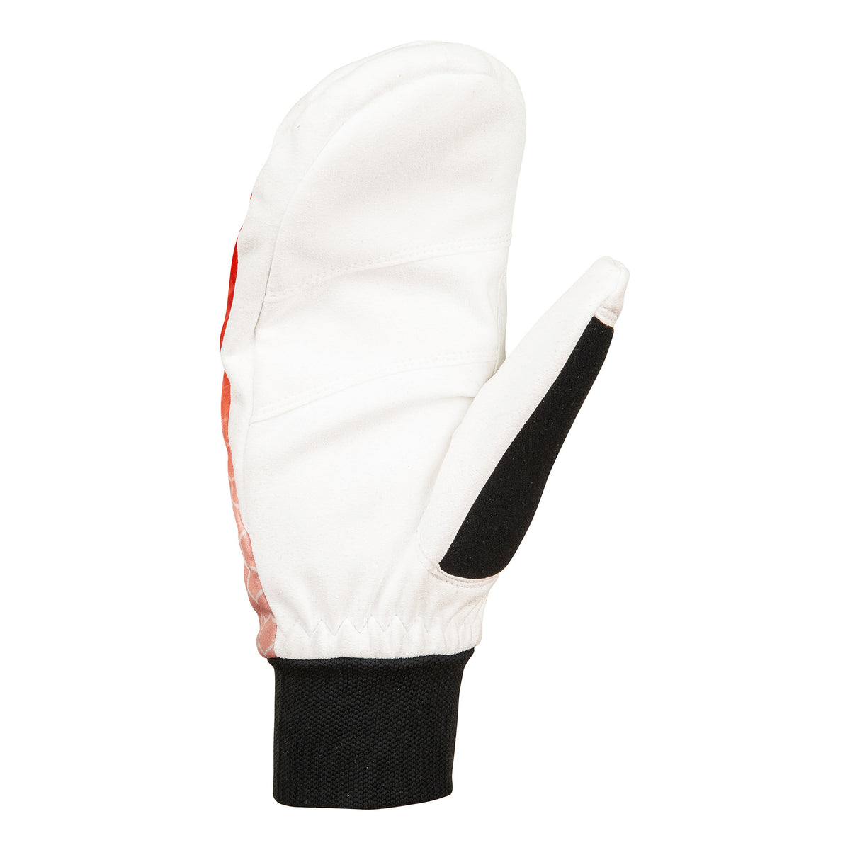 BJORN DAEHLIE MITTEN RACE WARM - FEMME