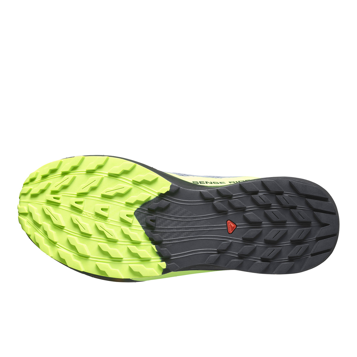 SALOMON SENSE RIDE 5 GORE-TEX - HOMME