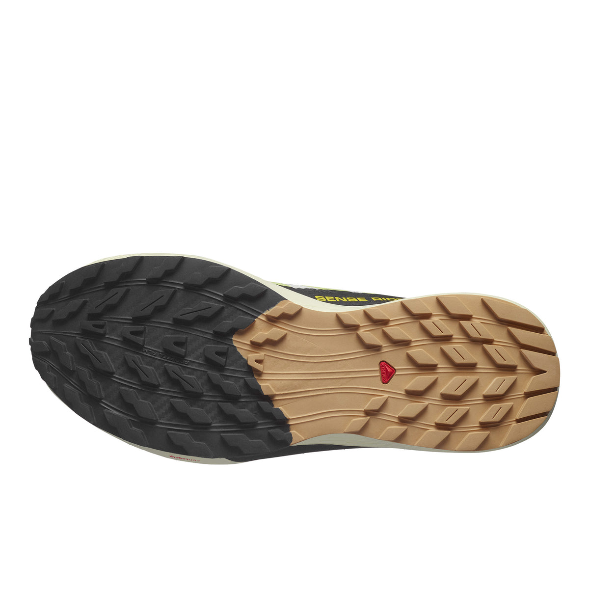 SALOMON SENSE RIDE 5 - HOMME