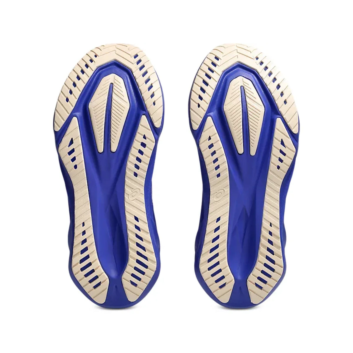 ASICS NOVABLAST 5 - WOMEN