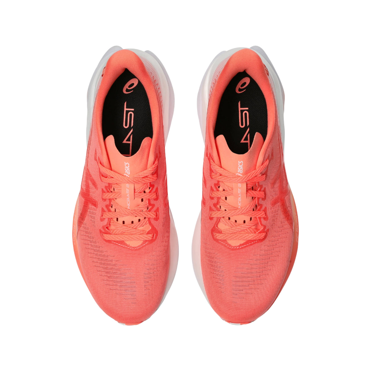 ASICS SONICBLAST 2 TENKA - FEMME