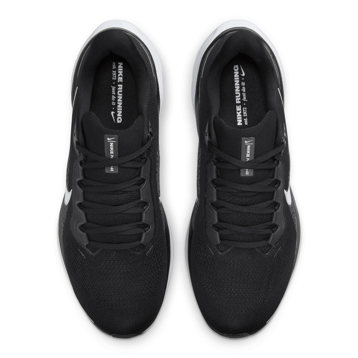 NIKE PEGASUS 41 - HOMME