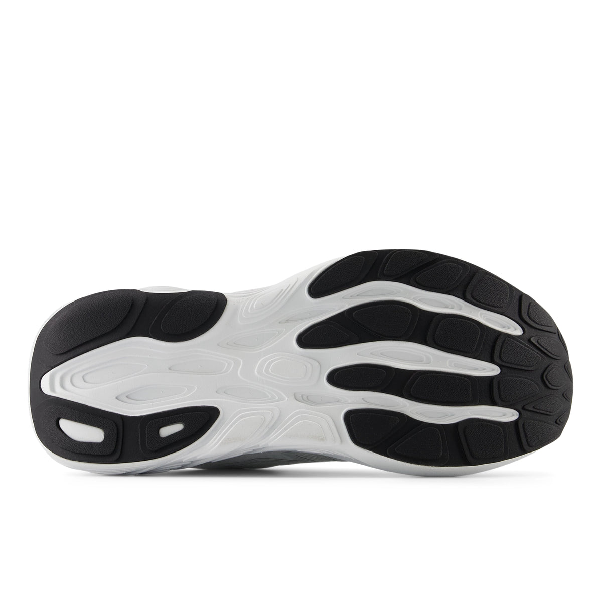 NEW BALANCE FRESH FOAM X 880V15 - FEMME