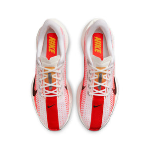 NIKE PEGASUS PLUS - HOMME