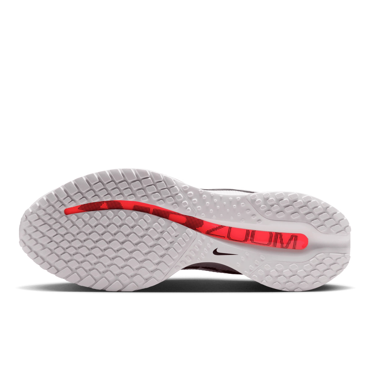 NIKE PEGASUS PREMIUM - HOMME