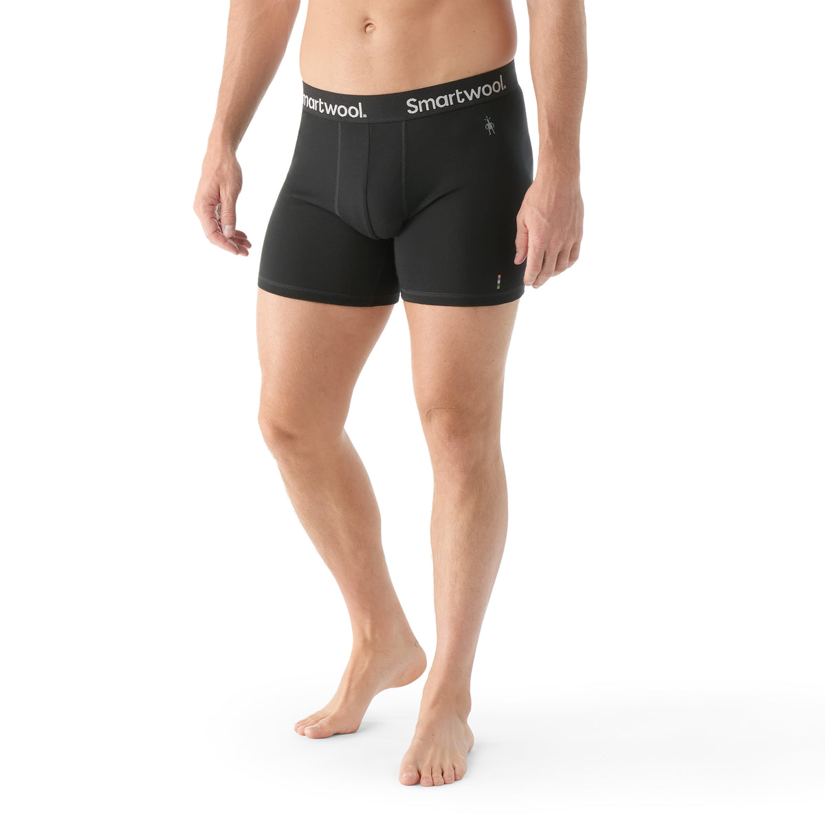 SMARTWOOL CALEÇON BOXER EVERYDAY MERINO - HOMME