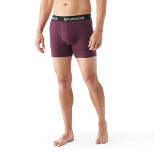 SMARTWOOL CALEÇON BOXER EVERYDAY MERINO - HOMME