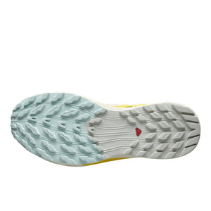 SALOMON SENSE RIDE 5 - HOMME