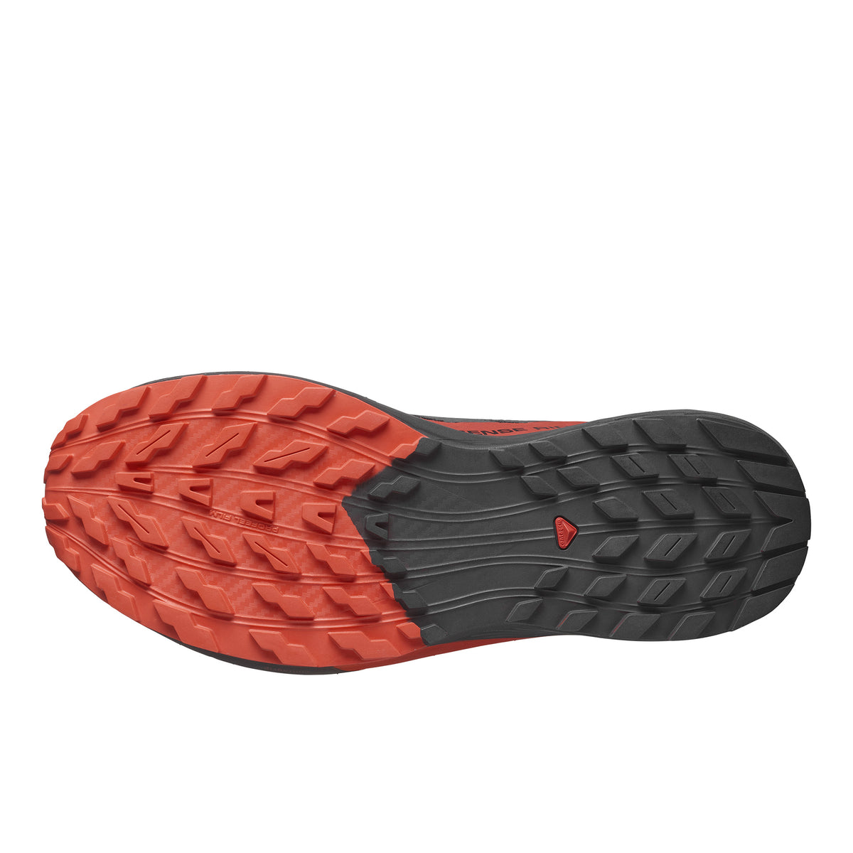 SALOMON SENSE RIDE 5 - HOMME