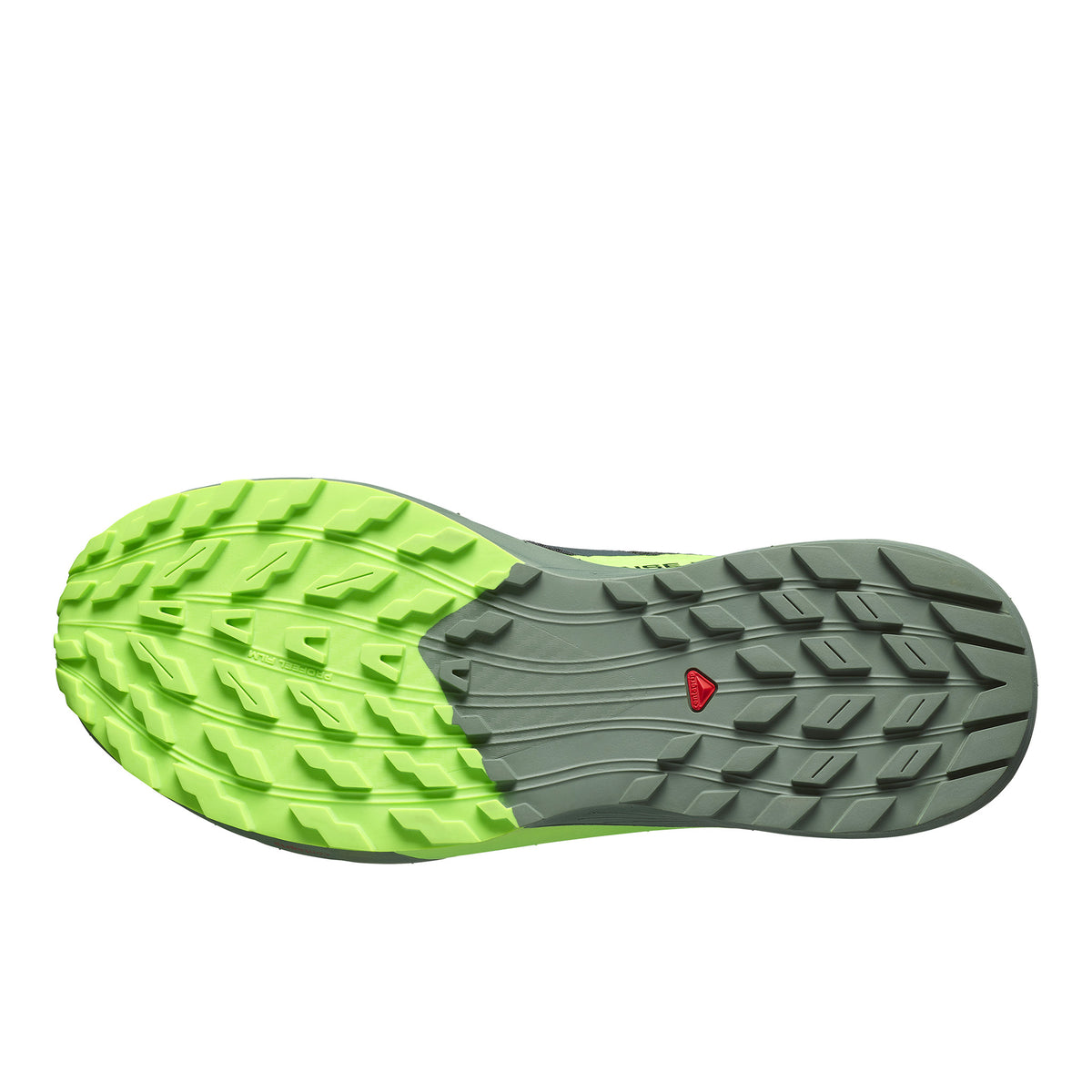 SALOMON SENSE RIDE 5 - HOMME