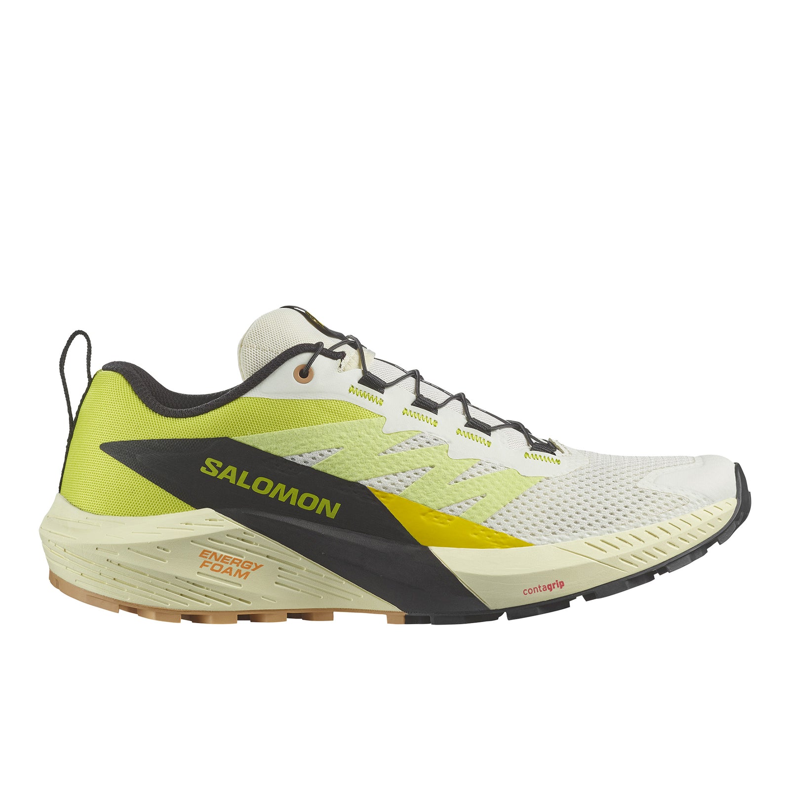 SALOMON SENSE RIDE 5 - HOMME
