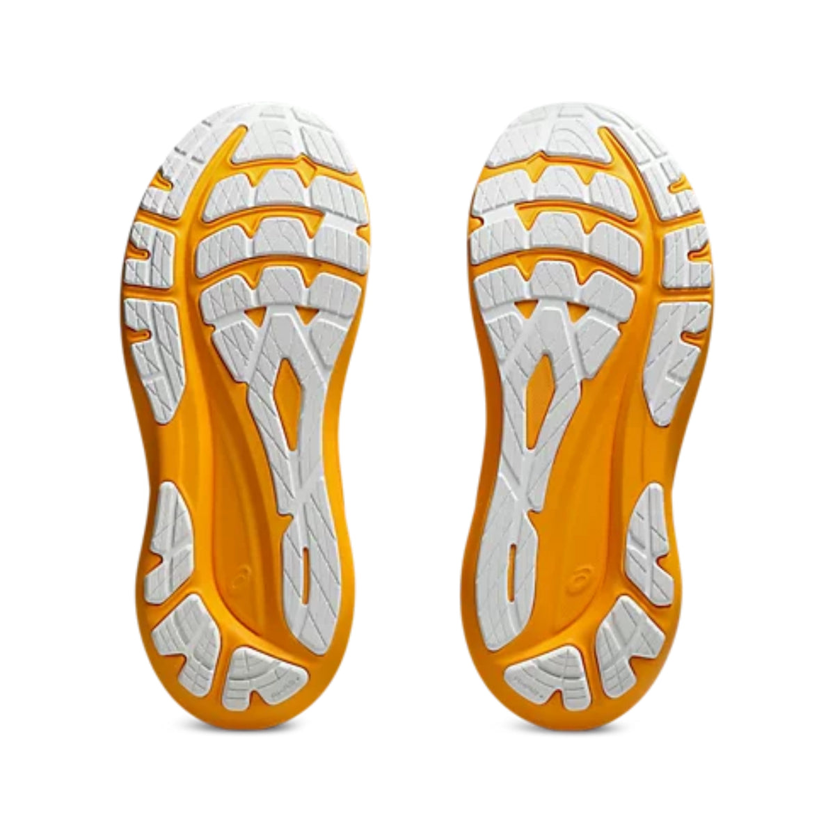 ASICS GT-2000 13 - HOMME