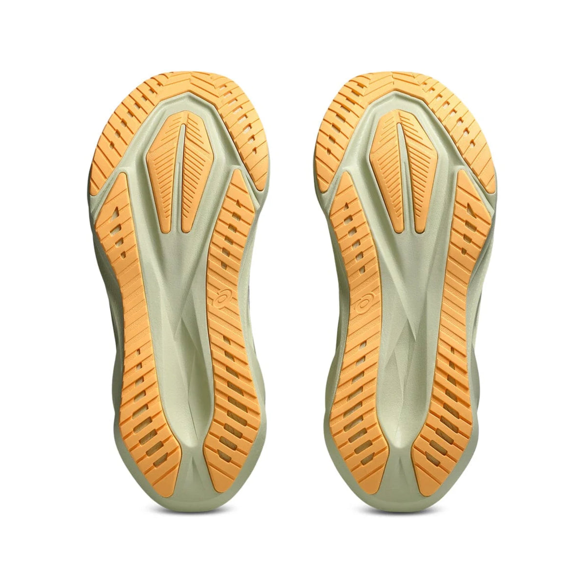 ASICS NOVABLAST 5 - HOMME