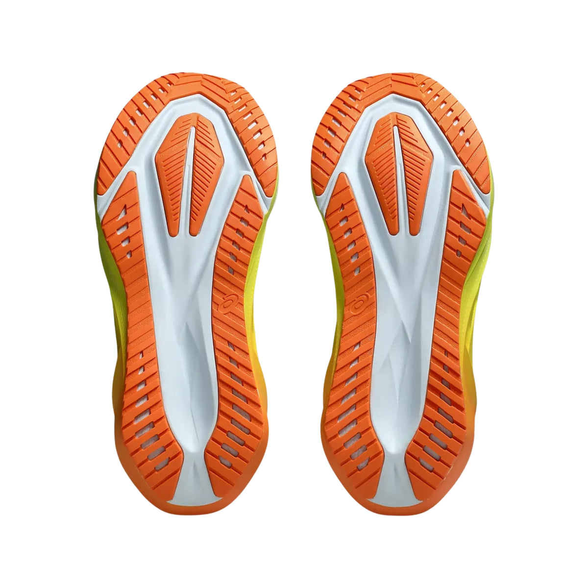 ASICS NOVABLAST 5 - HOMME