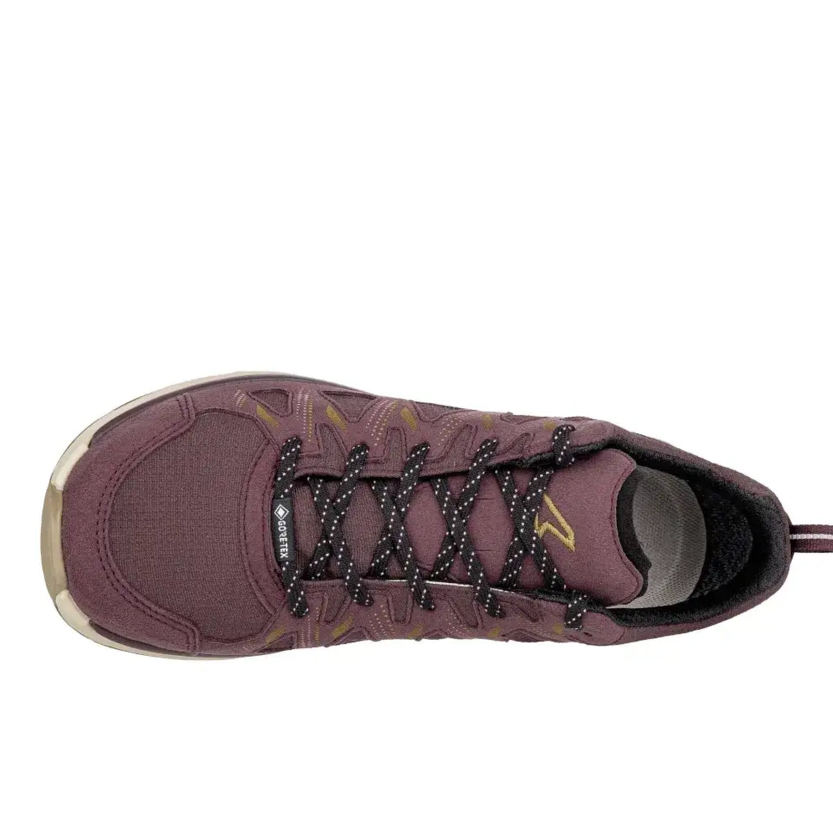 LOWA-INNOX EVO II GTX LO - FEMME