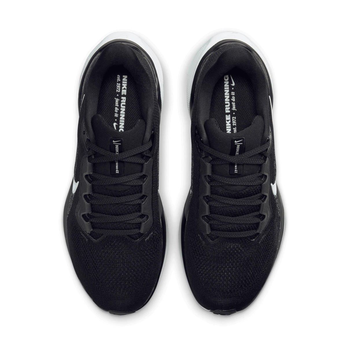 NIKE PEGASUS 41 - FEMME