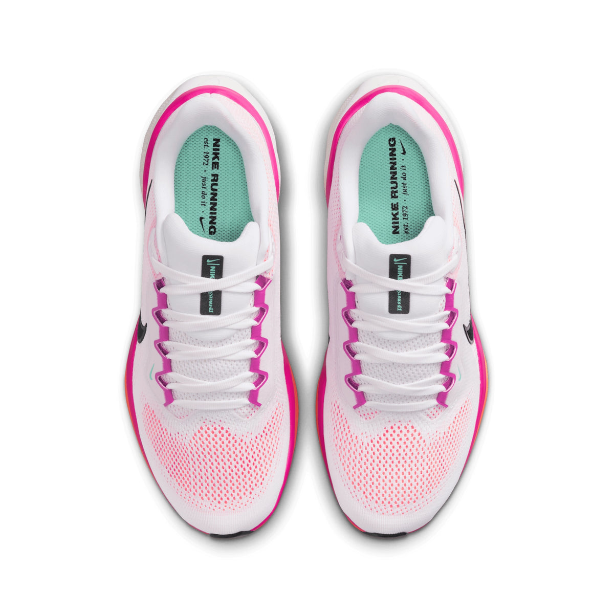 NIKE PEGASUS 41 - FEMME