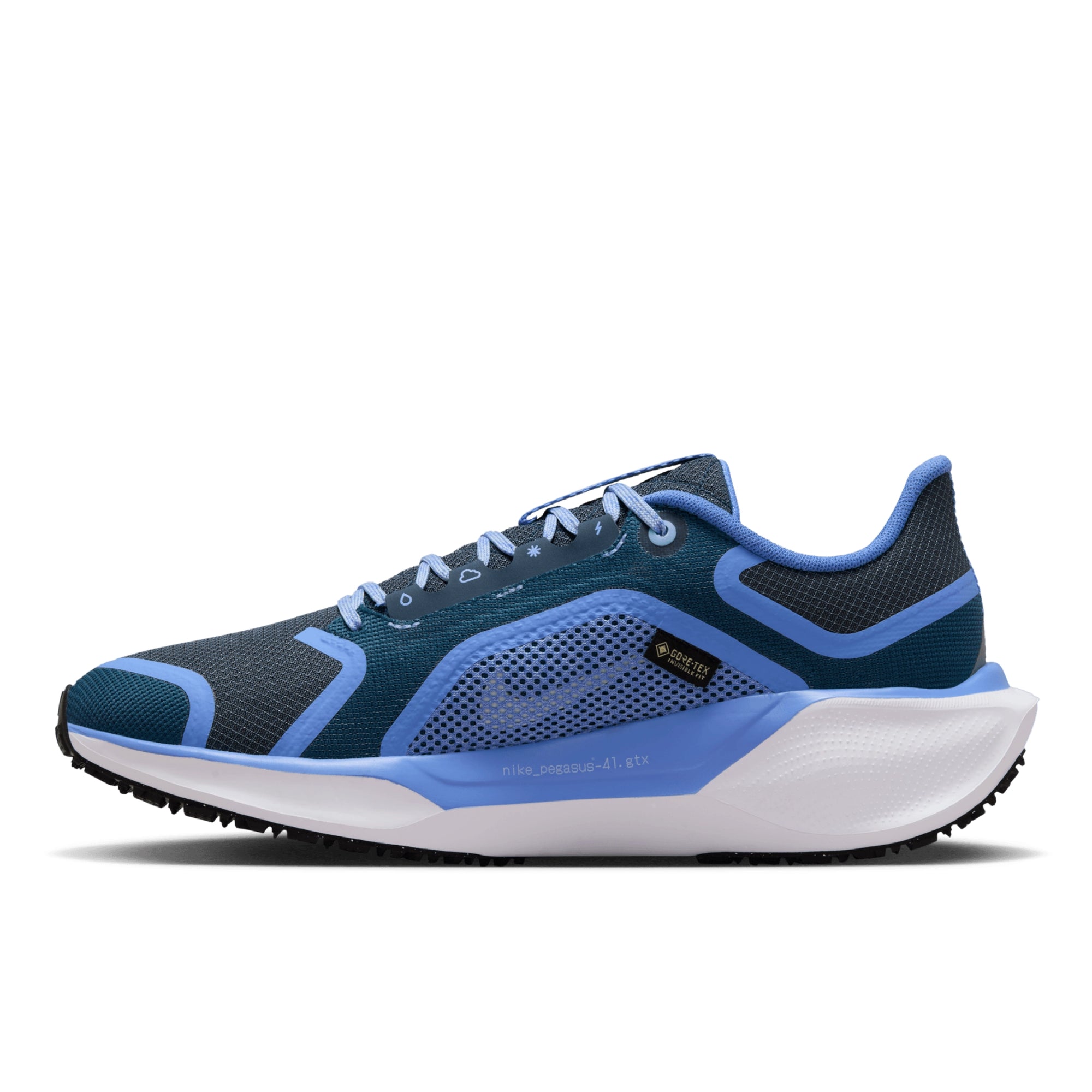 NIKE PEGASUS 41 GTX - FEMME