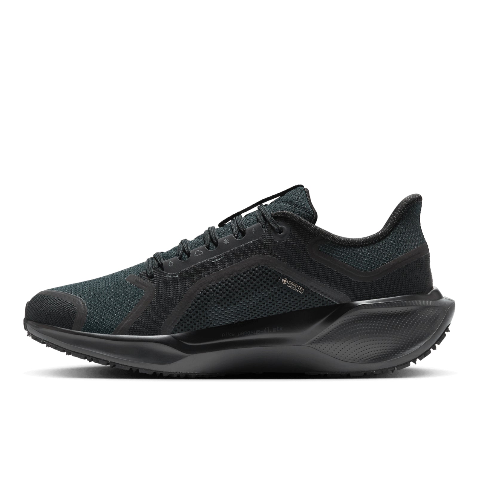 NIKE PEGASUS 41 GTX - HOMME
