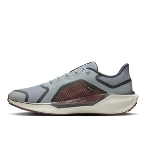 NIKE PEGASUS 41 GTX - HOMME