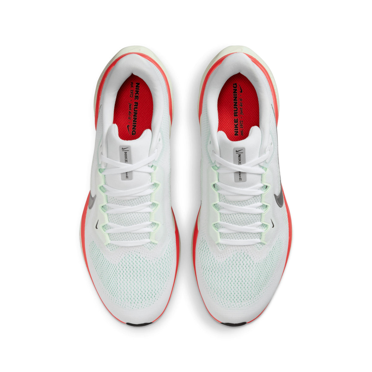 NIKE PEGASUS 41 - HOMME