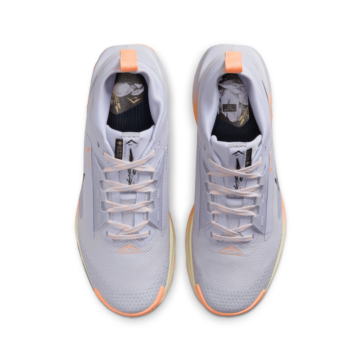 NIKE PEGASUS TRAIL 5 GTX - FEMME