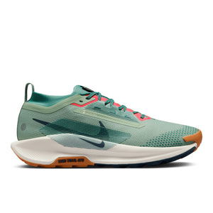 NIKE PEGASUS TRAIL 5 GTX - HOMME