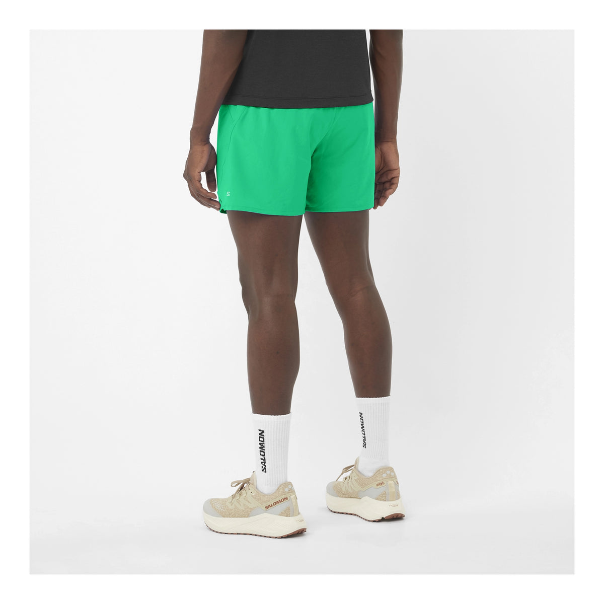 SALOMON SHAKEOUT CORE 5" SHORTS - HOMME