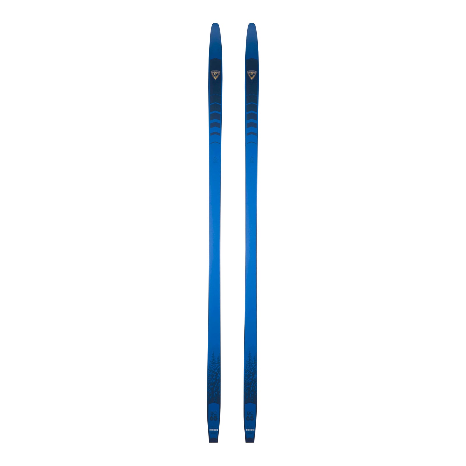 ROSSIGNOL BC 65 POSITRACK